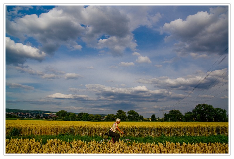 Fields, Germany.jpg